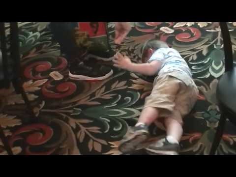 Zachary throws temper tantrum because he has to leave Paw Patrol Live