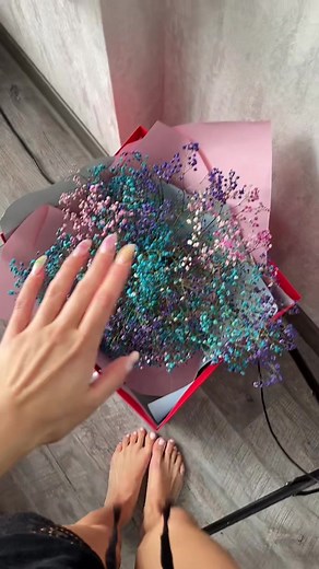 Annbucks (@annbucks)’s videos with оригинальный звук - 🦇