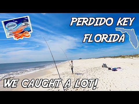 Surf Fishing - The Fish Were Here Today! (Perdido Key, Florida)