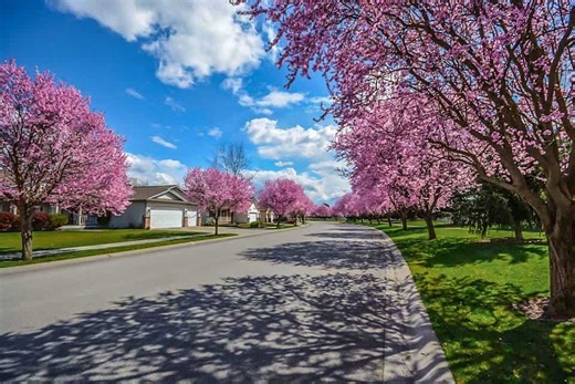 Spring Perimeter Refresh: Why April is the Most Important Month for Pest Control | U.S. Pest