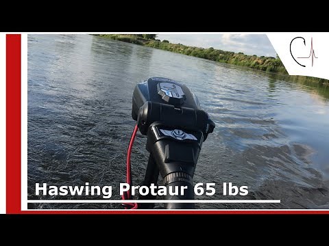 Haswing Protaur 65 lbs | Rzeka Warta | OkazNaPokaz