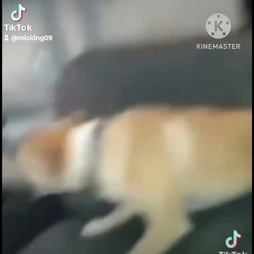 Cheez-Its Commercial