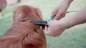 Supet Runner Cable, 10ft Run, 100ft Zip Line for Yard, Backyard, Camping, Outside - Trolley System for Large Dogs up to 250lbs, Aerial Run (Silver)