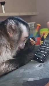 15M views · 51K reactions | Yo buscando frases para mí foto de perfil . | Oswaldo Argueta | Facebook