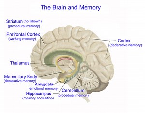 Memory; What it is, and How it is