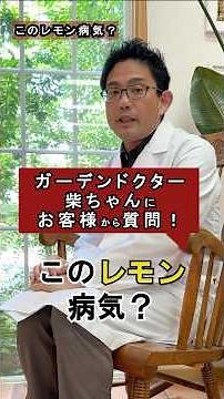 レモンの病気?知っていると予防に役立つ！防ばい剤ってなに? #garden #エクステリア #植木 #レモン #shorts