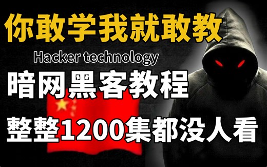 【判刑率99.9%】黑客教程|只要你敢学我就敢教！从零基础开始学网络安全/web安全/渗透测试/kali破解/学习笔记/网络安全