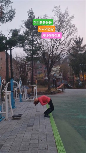 허리튼튼운동 시니어건강