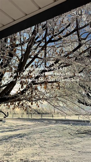 Trusting in His timing 🫶🏼🪽❄️🧊🥶 #icestorm2026 #Histiming #trust #winter #iceyroads