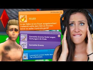 Ich habe die Sims 24h sich selbst überlassen! Mit verrückten Mod