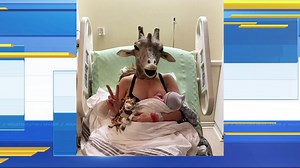 Mom who mocked pregnant giraffe livestream gives birth