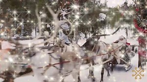 Reindeer Training for Santa's Big Night