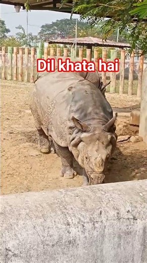 dil may ho tum new song#@#👍👍👍🥺🥺