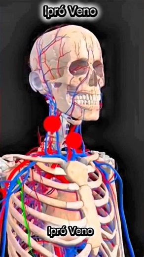 Self-defense: how to defend yourself against a knife using pressure points #Youtubershorts