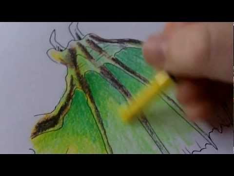 How To Draw Demon Wing