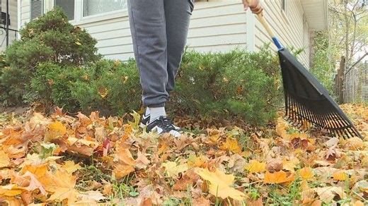 Expert shares senior safety tips for autumn outdoor chores and festivities
