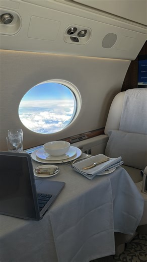 VIP Cabin Crew Training on Instagram: "VIP crew handle cabin clear-down with precision — flowers, bags, even smudges on woodwork. CTA: DM READY if you want to learn this detail. #VIPFlightAttendant #CorporateJetLife #CabinCrewTraining"