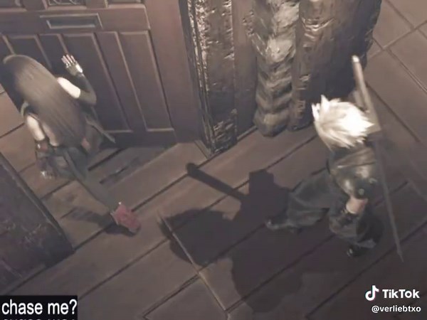 Tifa the Lioness: A Final Fantasy Adventure Awaits