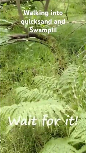Walking into quicksand and swamp, dangerous #quicksand #derelict #abandoned