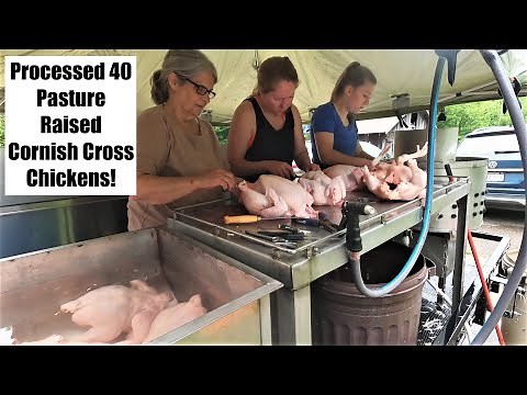 Process and Package 40 Chickens on Mobile Equipment Trailer at Home | First Time | We Learned a Lot