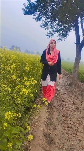 Padhi likhi 🔥#khetibadi #sarso #song #haryanvi #suit