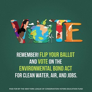 135 reactions · 44 shares | Early voting has begun! This year, New...