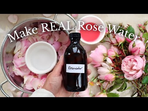 How to Make Rose Hydrosol at Home (DIY Rose Water)