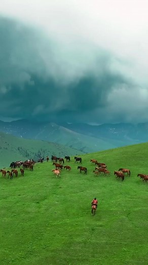 12K views · 351 reactions |  | Wonder Discovery | Facebook