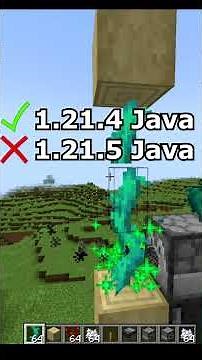 Do THIS Before Next Minecraft update