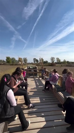 There is no shortage of Fall family fun at the Tilbilly Halloween Adventure Farm!🎃🍂 Featuring a corn maze, pumpkin picking, combine slide, farm animals, peddle carts, hayrides, and much more you don’t want to miss out on the fun this fall season! #SeeYouInCK #VisitCK #Tilbury | Visit Chatham-Kent