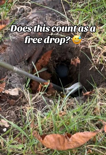 Golf Rules: What Happens When the Ball Goes Down a Rabbit Hole?