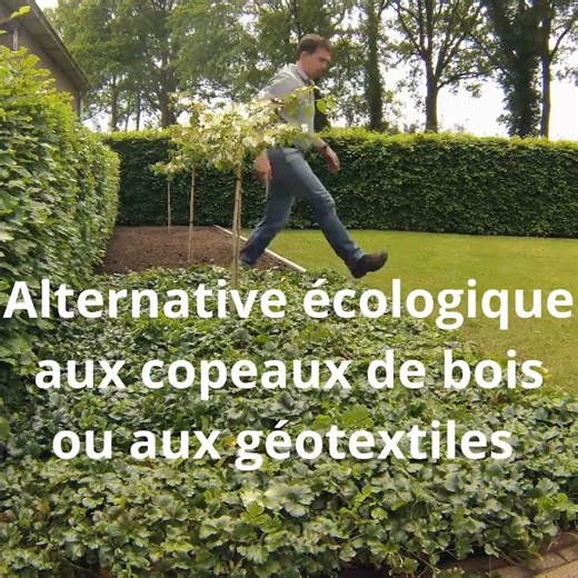 NACTORY TAPIS couvre sol : nattes de plantes qui permettent de couvrir le sol directement.