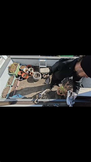 春に向けて、２坪テラス復活｜片付けタイムラプス編