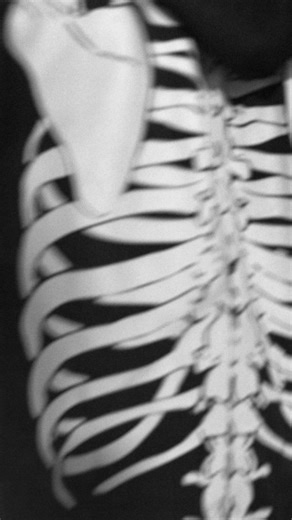 On December 3th, Louis Cole joins the Metropole Orkest for a couple of funky nights. Cole and the orchestra will be conducted by Jules Buckley at SPOT in Groningen. | Metropole Orkest