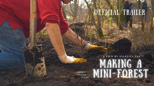 Making a Mini-Forest