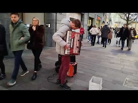 Live music | ccordion | Art