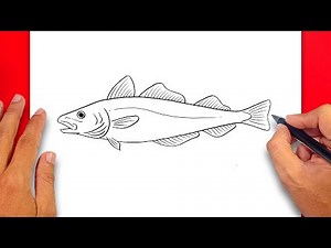 How to draw Atlantic Cod Easy