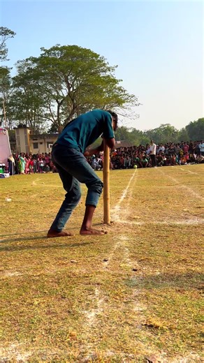 Funny Frog Video Compilation