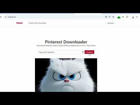 How to download video from Pinterest with Pingrab