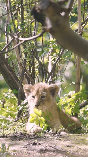 125K views · 6.7K reactions | Three small parts of the plan 女女女...