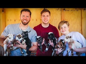 Which BABY GOATS will we keep on our FARM?!