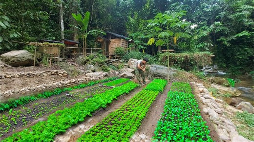 One year off-grid: Onions, garlic, potatoes & homemade meals