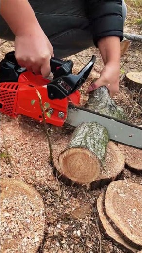 Mini chainsaw for cutting tree branches #shorts