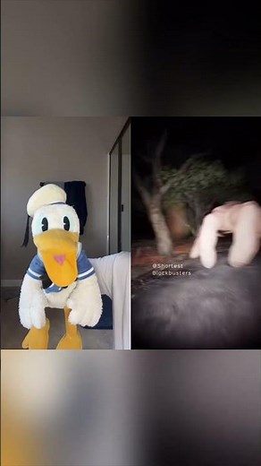 Collab With ‪@ShortestBlockbusters‬ Donald Ducc Doesn’t Like The Hand