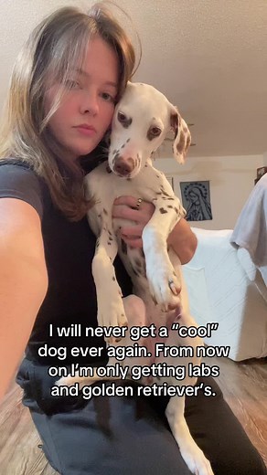Understanding Dalmatian Behavior and Training Tips