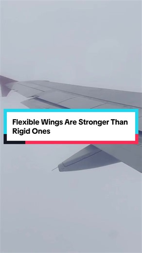 Flexible wings aren’t a flaw — they’re a safety feature. Boeing 787 wings are designed to bend dramatically, absorbing energy in turbulence instead of cracking under stress. #Aviation #AircraftDesign #Boeing787 #AerospaceEngineering #FlightSafety