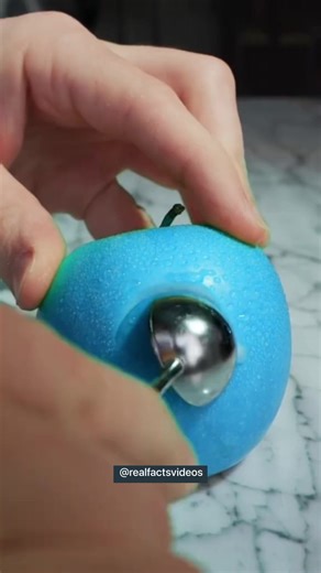 5.6K views · 50 reactions | Real Facts✨ #factsoflife #reels #factsyoudidntknow | Real Facts | Facebook