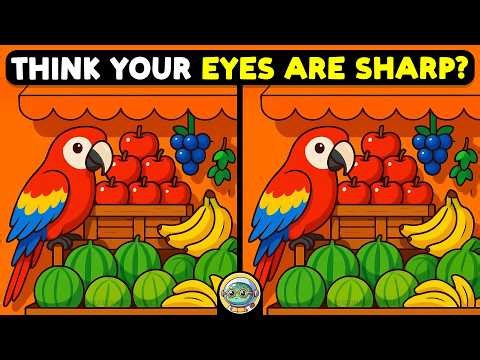 🐢🧩 Spot The Difference | Expert Challenge Edition 🧩🐢 | Quizonaut Turtle