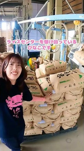 【 らくらくパレット積み🙌🏻 】#おしの農場 #農業法人 #農業女子 #稲刈り