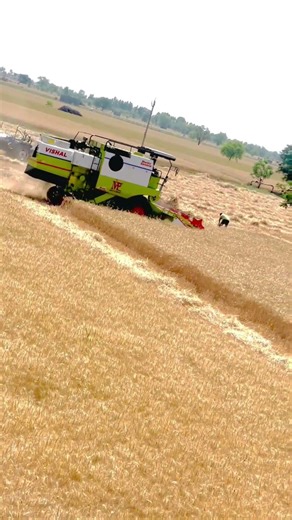 Vishal 435 harvester kesi ha short video#trending #ytshorts #shortvideos #shorts #shortsfeed